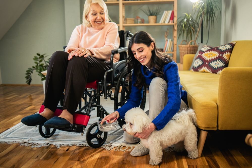 Assistance with Daily Living Tasks